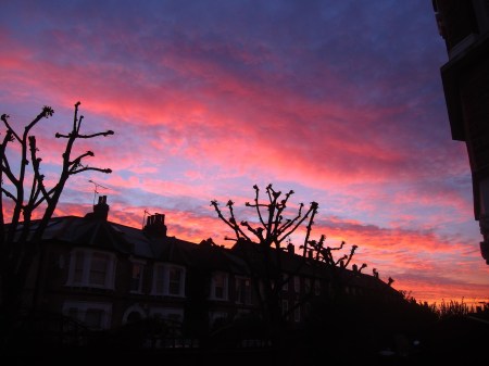 Sunrise from our garden this week. 
