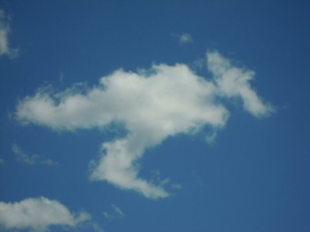 Kangaroo cloud fromt the CAS gallery at http://bit.ly/1sFy5Bs